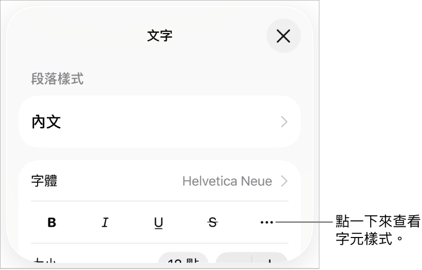 帶有「粗體」、「斜體」、「底線」、「刪除線」和「更多文字選項」按鈕的「格式」控制項目。