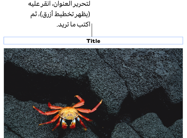 يظهر عنوان العنصر النائب، "العنوان"، أسفل صورة؛ يوضح تخطيط أزرق حول حقل العنوان أنه محدد.