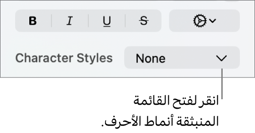 القائمة المنبثقة أنماط الأحرف.