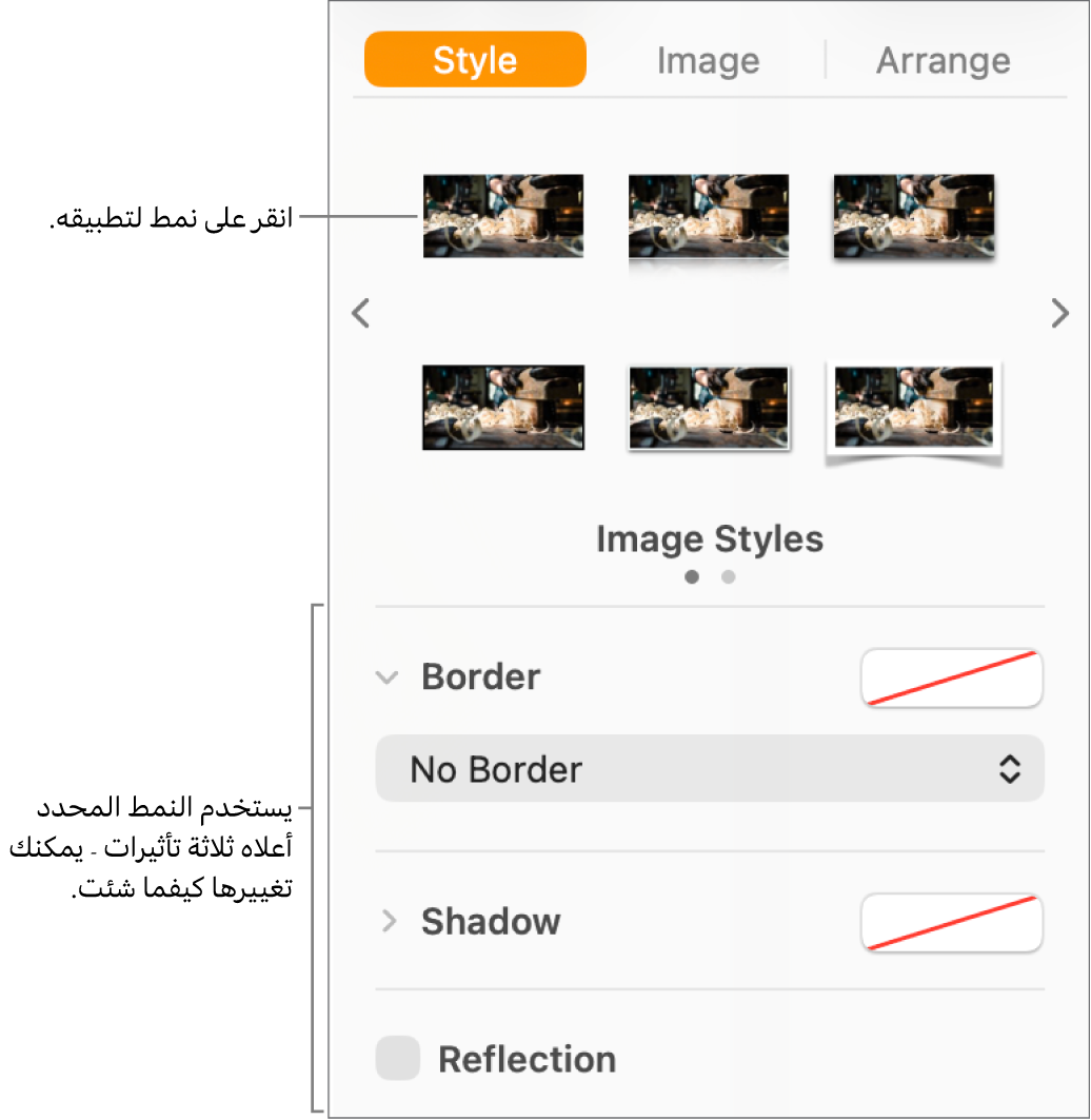 علامة التبويب نمط في الشريط الجانبي "تنسيق" ويظهر بها خيارات أنماط الكائنات.