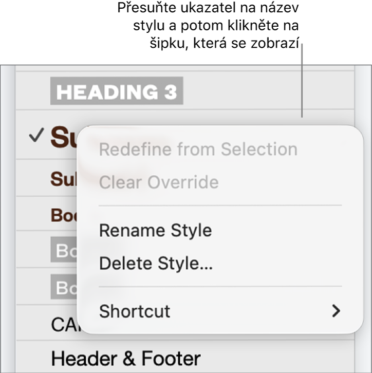 Nabídka Styly odstavců s otevřenou nabídkou zkratek.