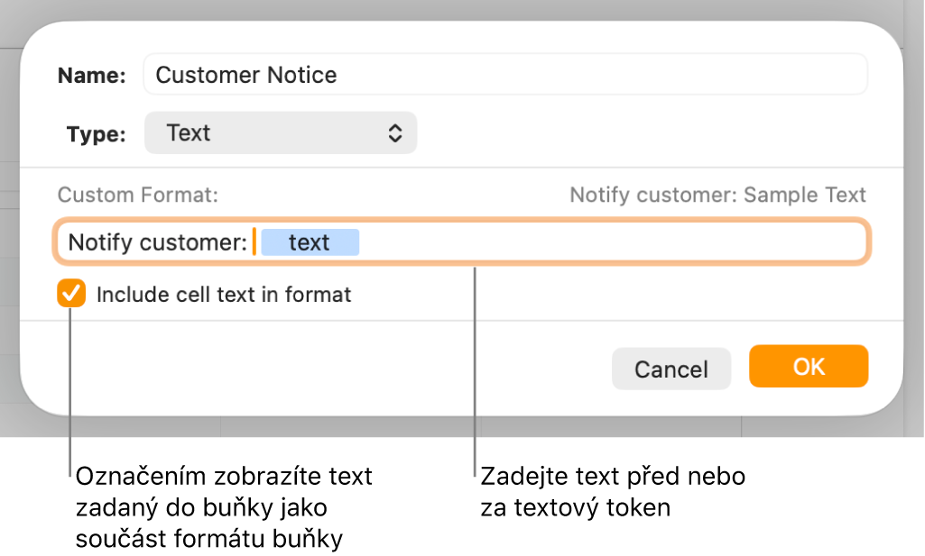 Okno vlastního formátu buněk s ovládacími prvky pro výběr vlastního formátu textu