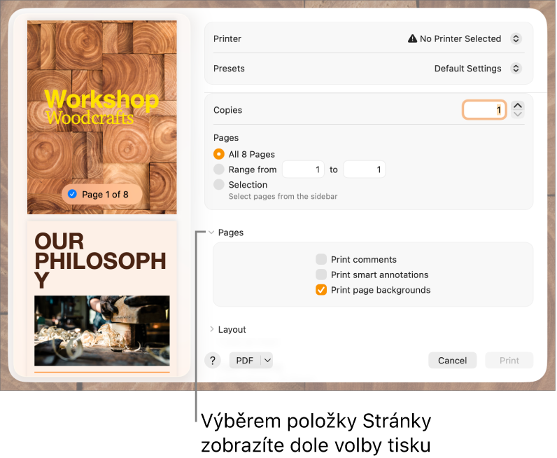 Dialogové okno Tisk s ovládacími prvky pro tiskárnu, předvolby, kopie a rozsah stran. V místní nabídce pod nastavením rozsahu stran je vybrána volba Strany a za ní následují zaškrtávací políčka pro tisk komentářů, tisk dynamických anotací a tisk pozadí stránek.