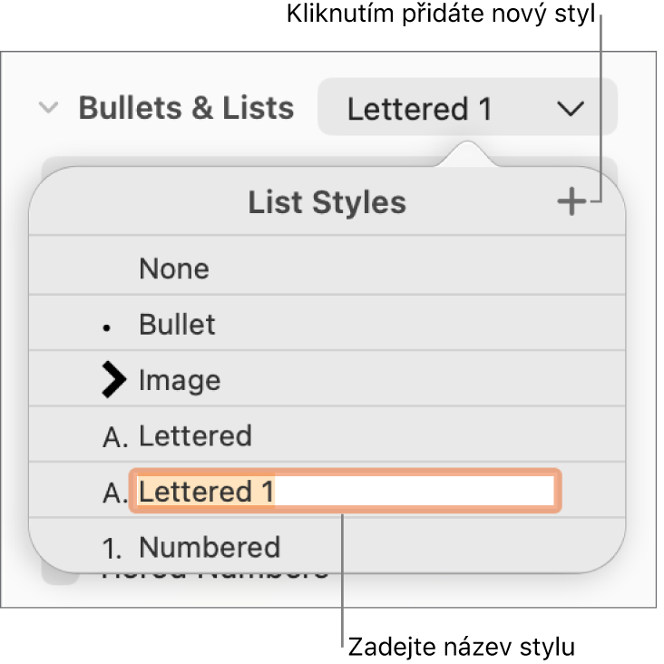 Nabídka Styly seznamů s tlačítkem Přidat v pravém horním rohu a maketou názvu stylu s vybraným textem