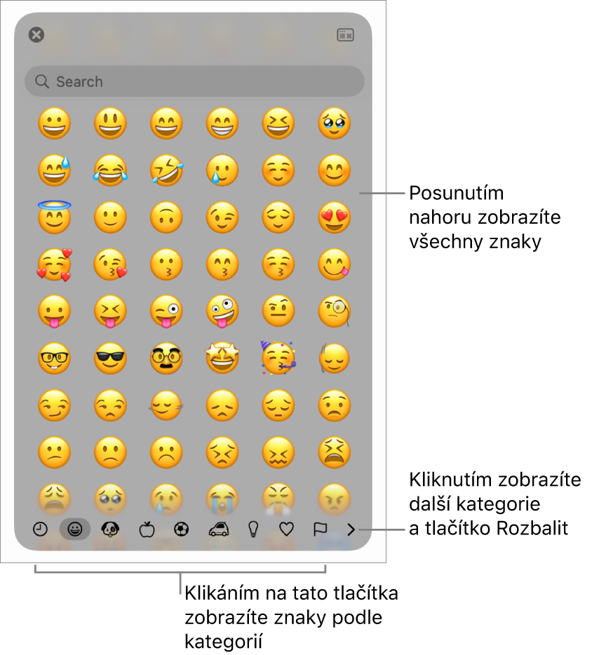 Okno Prohlížeč znaků, v němž jsou vidět emotikony, tlačítka pro různé kategorie symbolů u dolního okraje a také tlačítko pro zobrazení dalších kategorií a tlačítko Rozbalit.