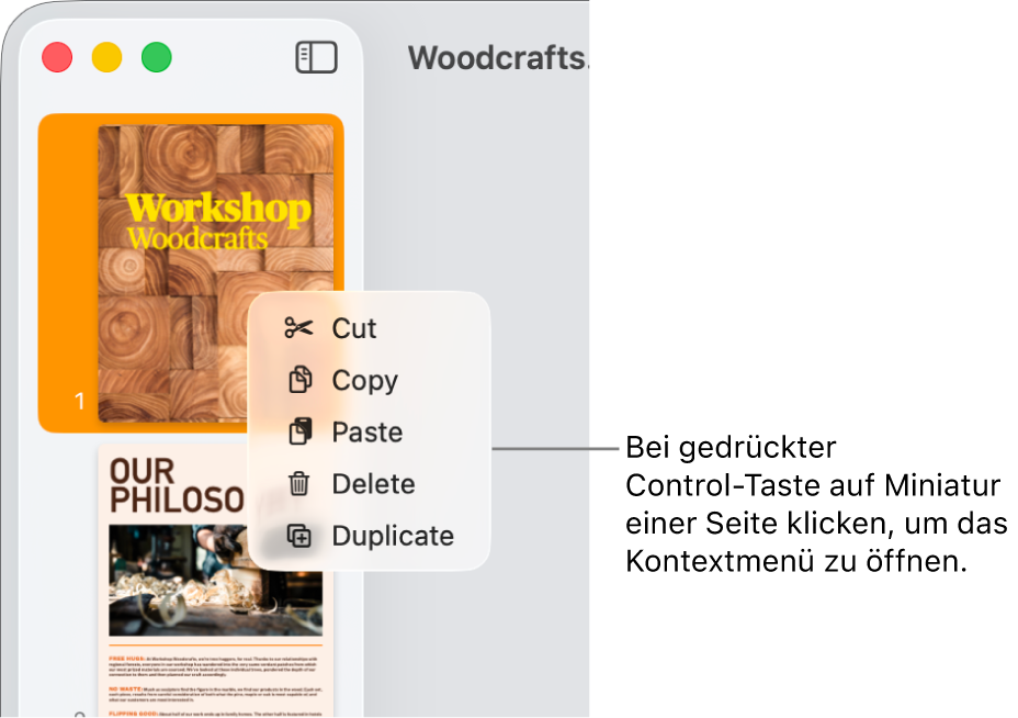 Miniaturdarstellung der Seiten mit einer ausgewählten Miniatur und dem geöffneten Kontextmenü