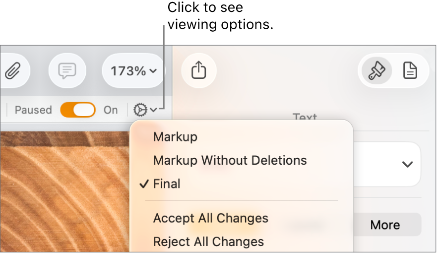 The review options menu showing Markup, Markup Without Deletions and Final.