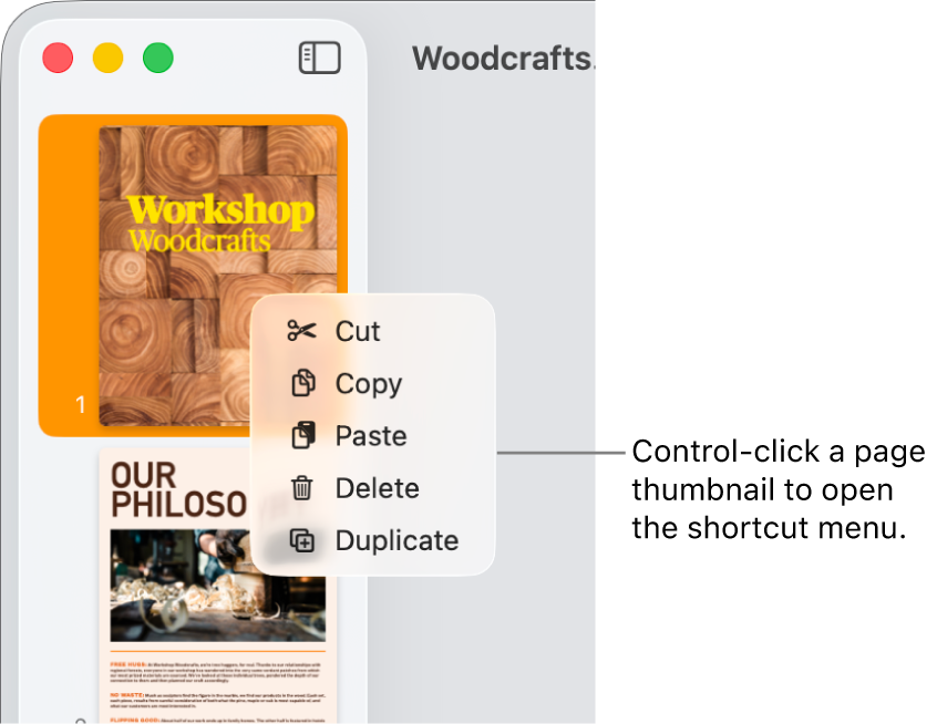Page Thumbnails view with one thumbnail selected and the shortcut menu open.
