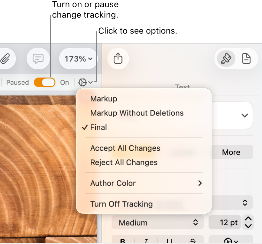 The tracking options menu showing Turn off Tracking at the bottom and a call out to the Tracking On and Paused button.