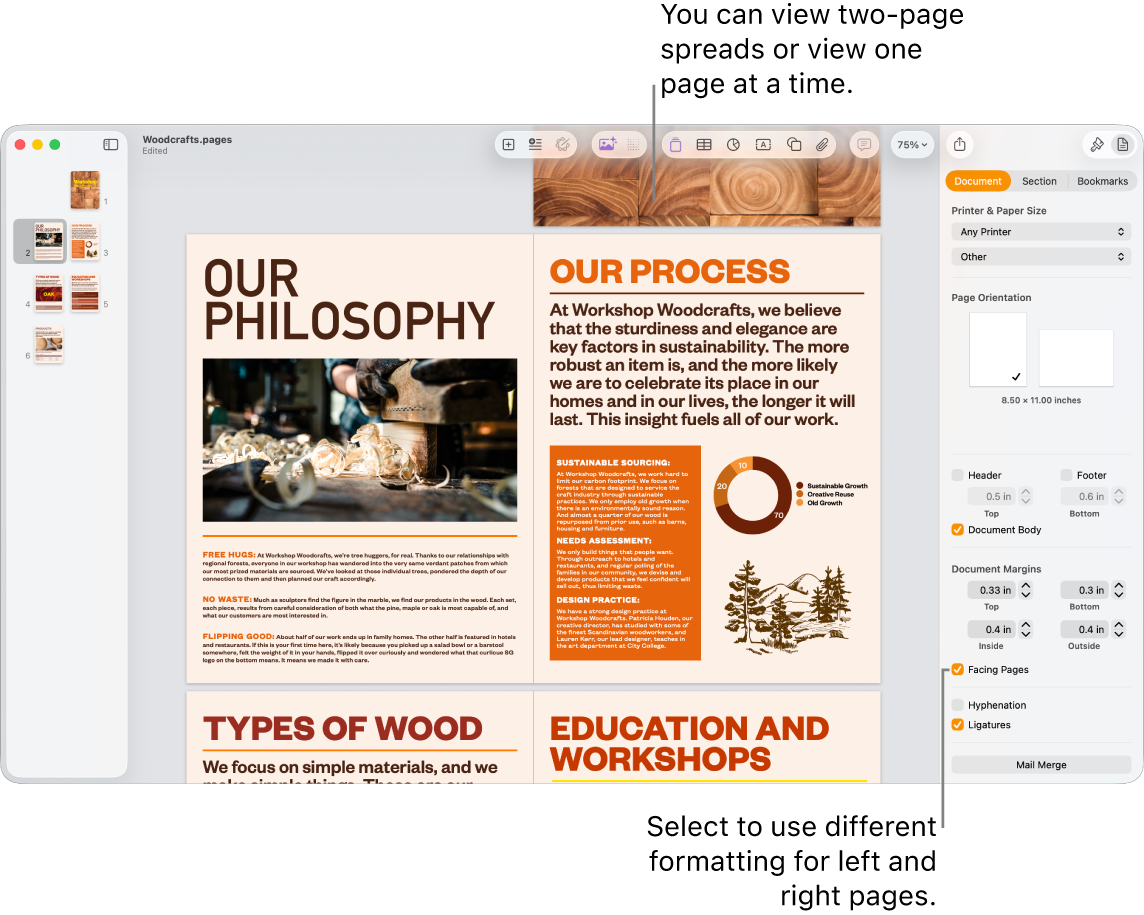 The Pages window with page thumbnails and document pages viewed as two-page spreads. In the Document sidebar on the right, the “Left and right pages are different” tick box is unselected.