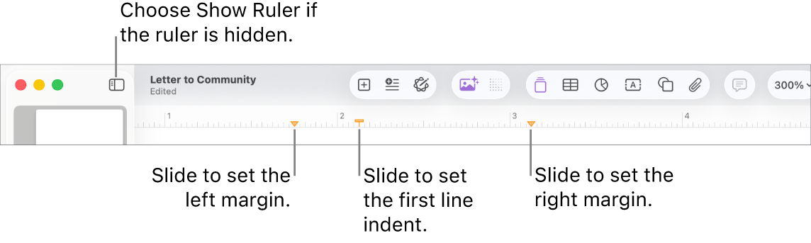 The ruler with the left margin control and first line indent control.