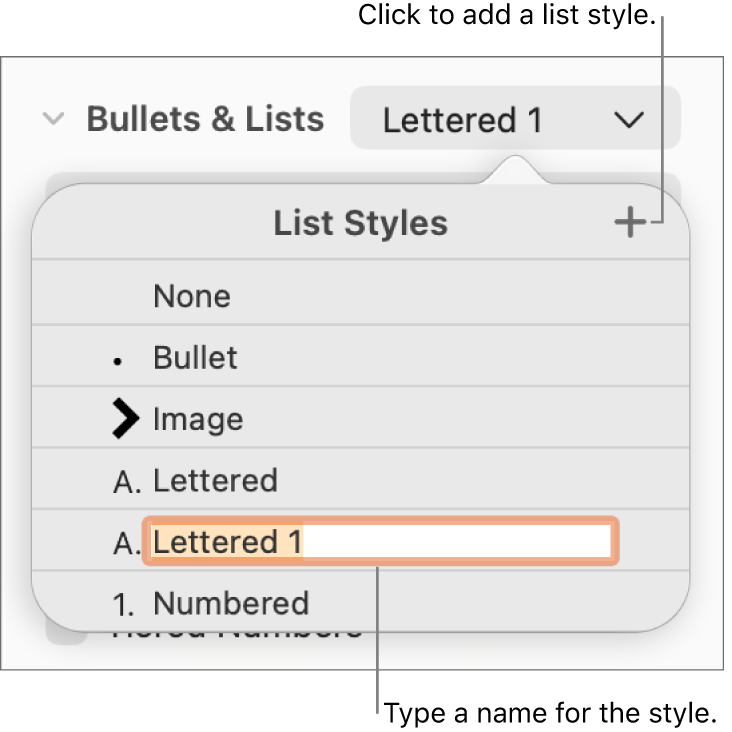 The List Styles pop-up menu with an Add button in the top-right corner and a placeholder style name with its text selected.