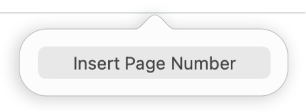 The Insert Page Number button below the header.