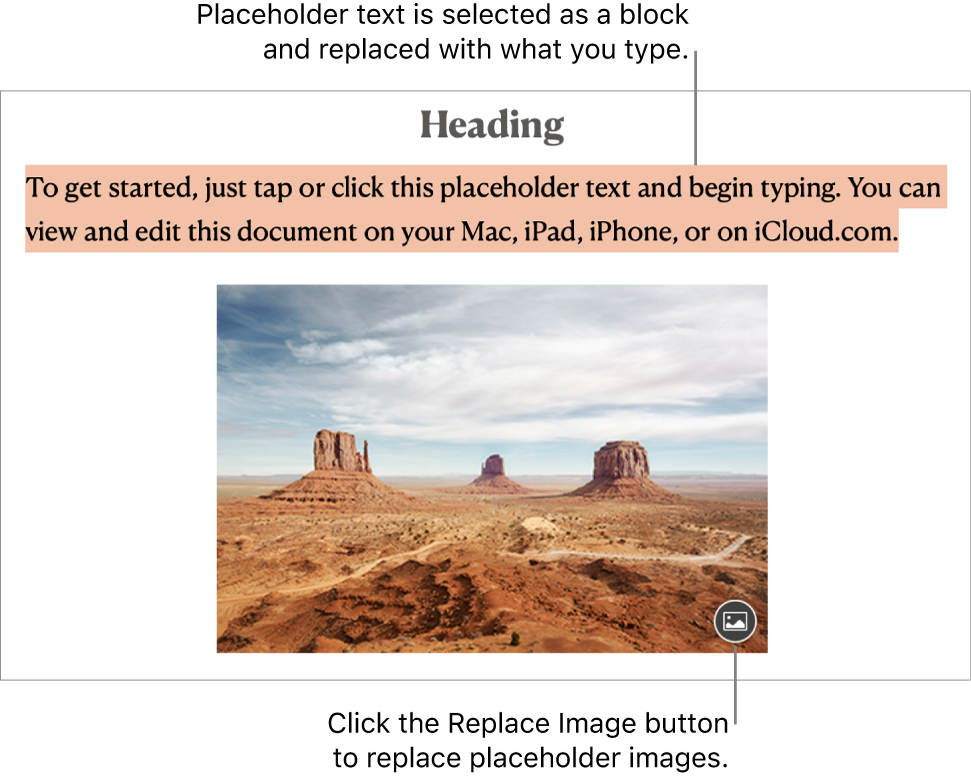 Placeholder text and images.