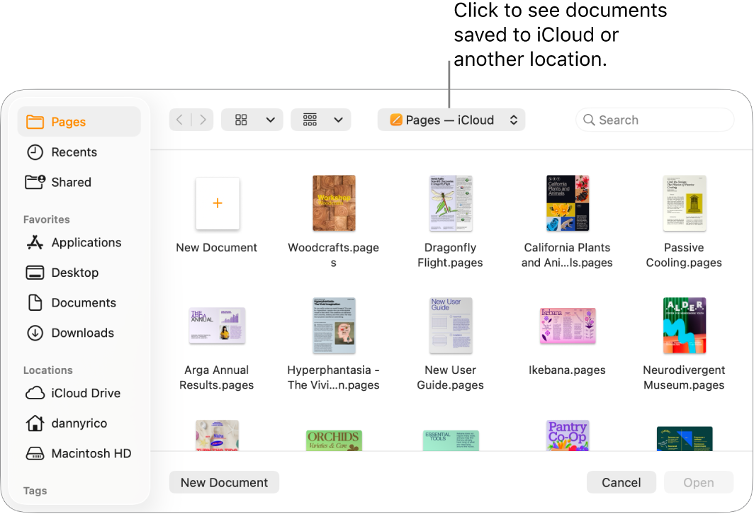 The Open dialogue with the sidebar open on the left and iCloud Drive selected in the pop-up menu at the top. The Pages folder appears in the dialogue, along with a New Document button.