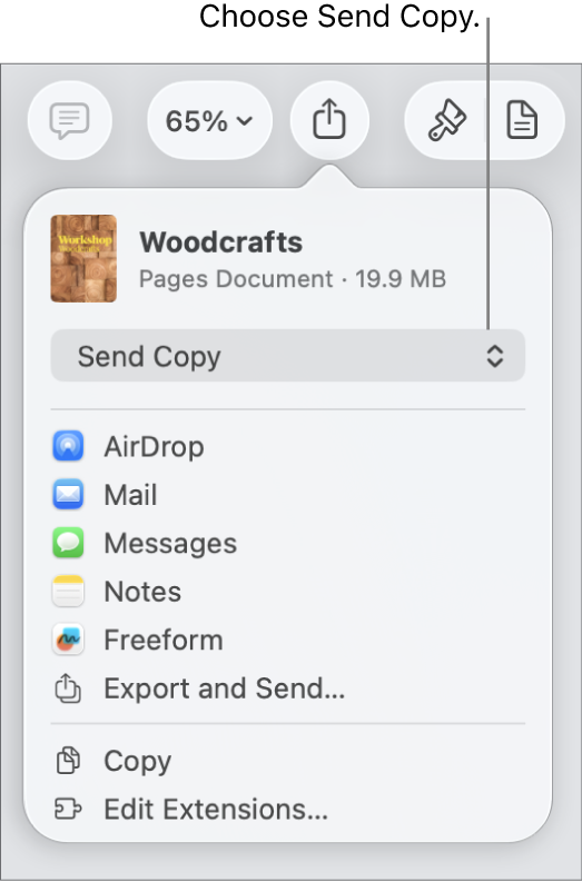 The Share menu with Send Copy selected at the top.