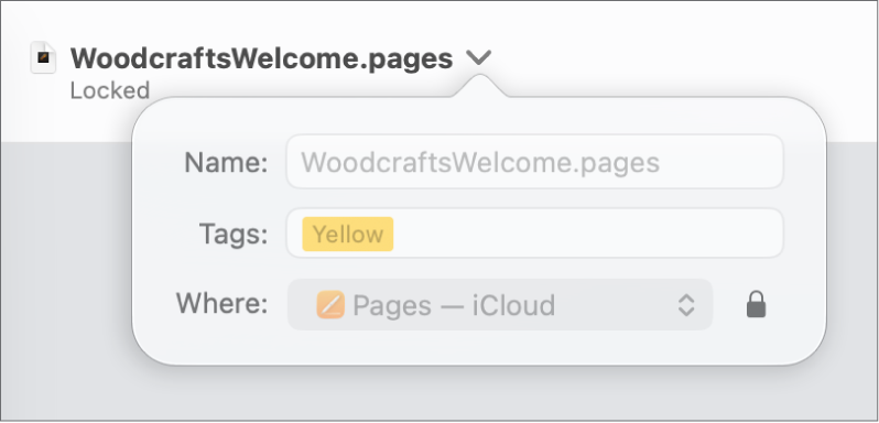 Pop-up for locking or unlocking a document.