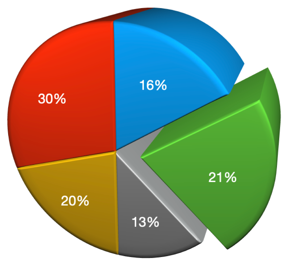 A 3D pie chart with a bevel and increased depth.