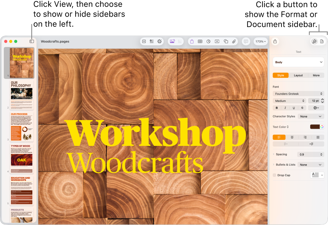 The Pages window with callouts to the View menu button and Format and Document buttons in the toolbar. Sidebars are open on the left and right.