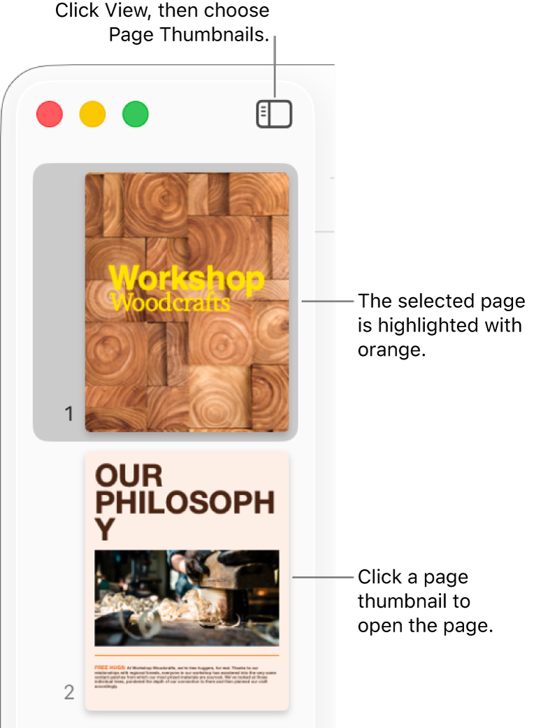 The sidebar on the left side of the Pages window with Page Thumbnails view open and a selected page highlighted in dark orange.