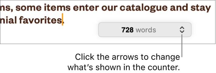 The word count menu showing the number of words in the document.