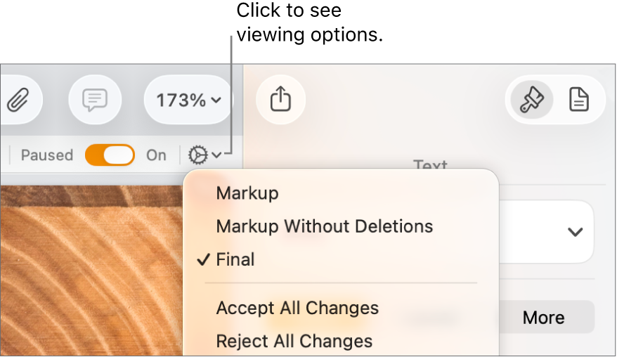 The review options menu showing Markup, Markup Without Deletions, and Final.