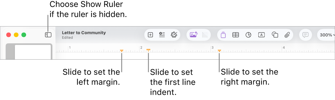 The ruler with the left margin control and first line indent control.