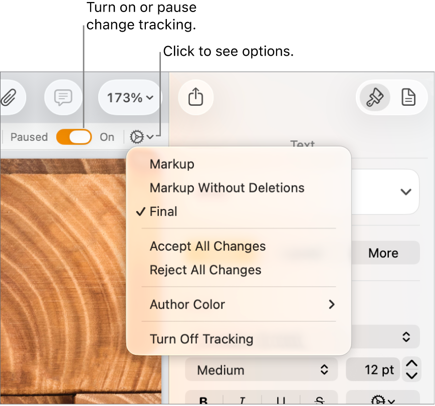 The tracking options menu showing Turn off Tracking at the bottom, and callouts to the Tracking On and Paused button.