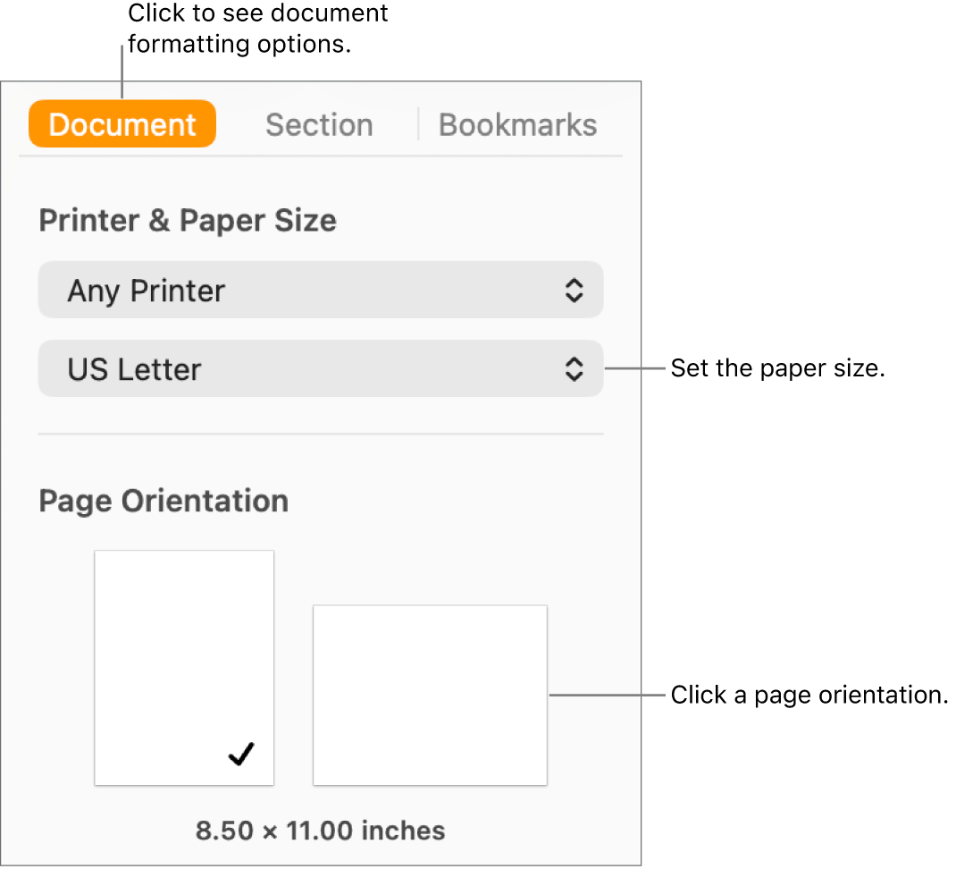 The Document sidebar with the Document tab at the top of the sidebar selected. In the sidebar are a pop-up menu to set paper size, and buttons for portrait and landscape page orientation.