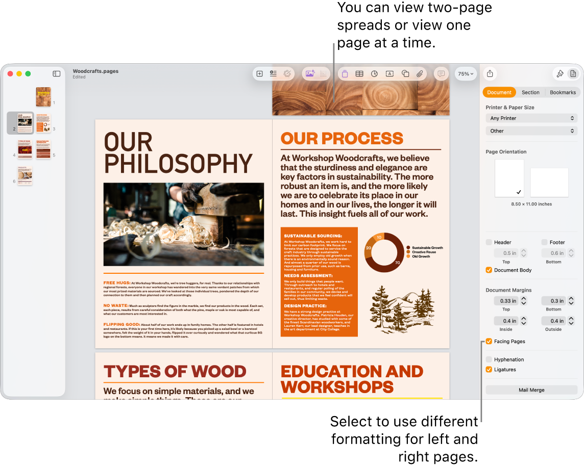 The Pages window with page thumbnails and document pages viewed as two-page spreads. In the Document sidebar on the right, the “Left and right pages are different” checkbox is unselected.