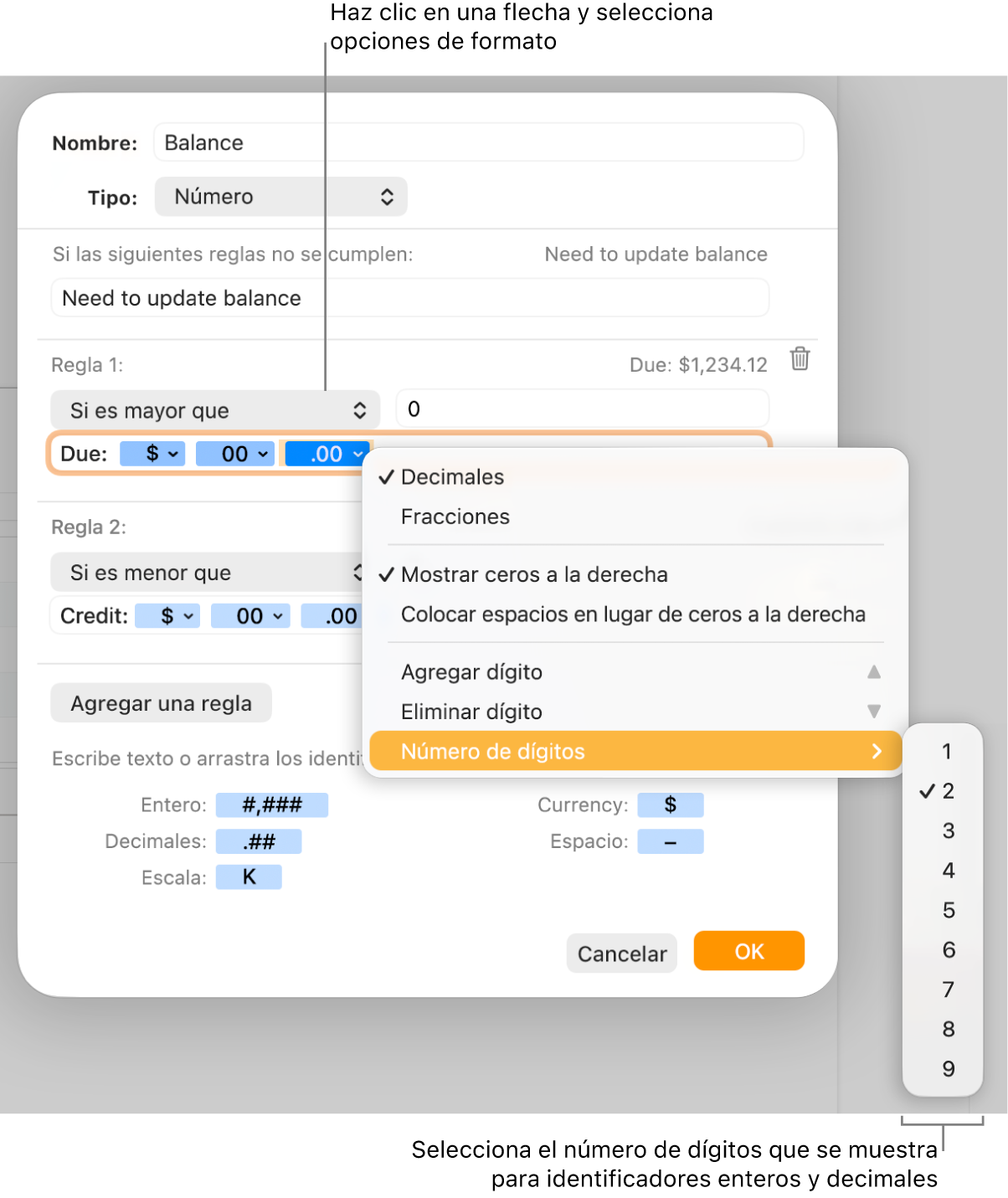 La ventana de formato de celda personalizado con controles para seleccionar opciones de formato personalizadas.