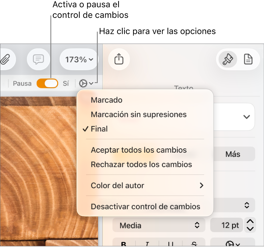 El menú de opciones de control de cambios con Desactivar control de cambios en la parte inferior y globos de mensaje en Control de cambios: Activado, y en En pausa.
