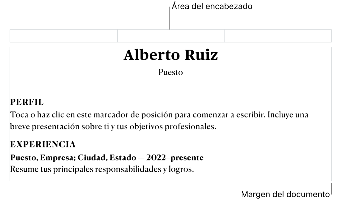 La visualización de disposición mostrando el área del encabezado y los márgenes del documento.