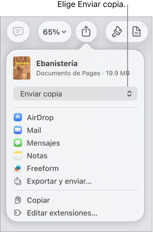El menú Compartir con la opción Enviar copia seleccionada en la parte superior.