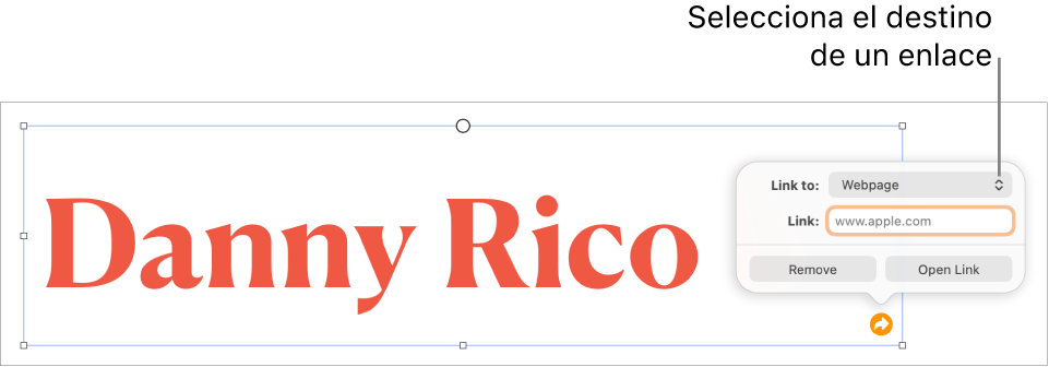 Controles del editor de enlaces con la opción “Página web” seleccionada y los botones Eliminar y “Abrir enlace” en la parte inferior.