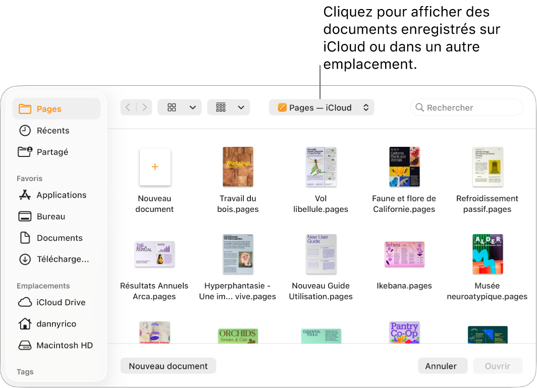 La zone de dialogue Ouvrir avec la barre latérale ouverte sur la gauche et iCloud Drive sélectionné dans le menu local en haut. Le dossier Pages apparaît dans la zone de dialogue, ainsi que le bouton « Nouveau document ».