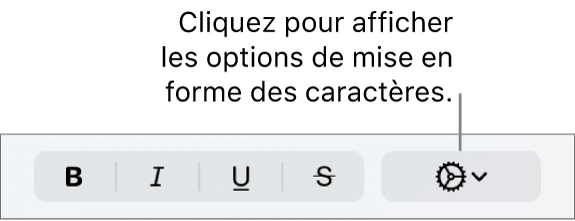 Le menu local Plus d’options de texte à droite des boutons Gras, Italique, Souligné et Barré.