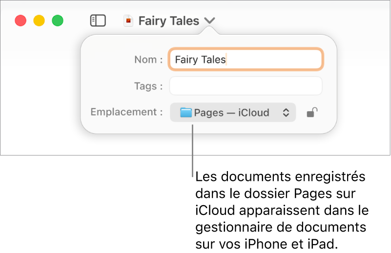 Zone de dialogue d’enregistrement d’un document avec Pages (iCloud dans le menu local Emplacement).