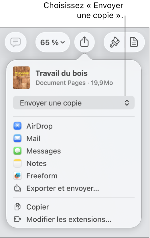 Le menu Partager avec l’option Envoyer une copie sélectionnée en haut.