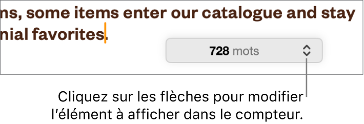 Le menu indiquant le nombre de mots dans le document.
