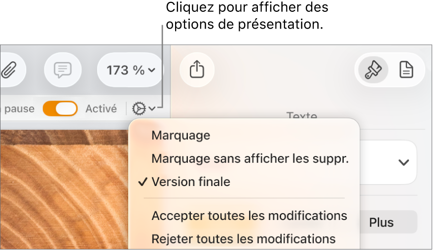 Le menu des options de révision, avec les options Marquage, Marquage sans afficher les suppr. et Version finale.