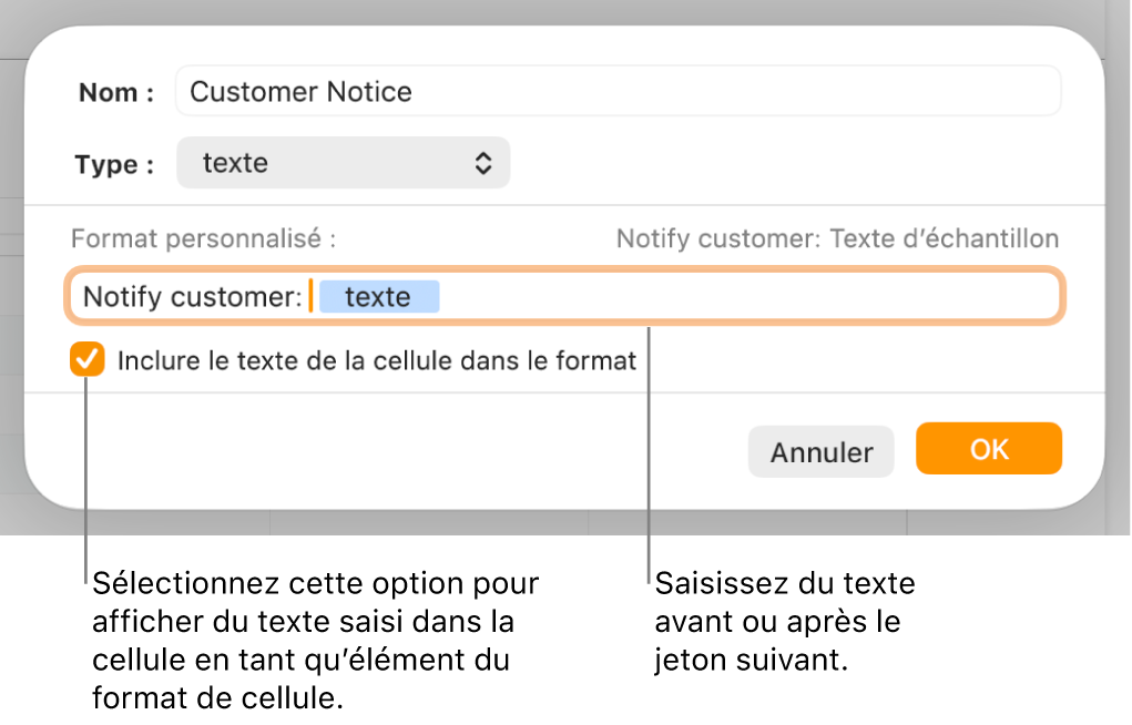 Fenêtre de format de cellule personnalisé présentant les commandes permettant de choisir un format de texte personnalisé.