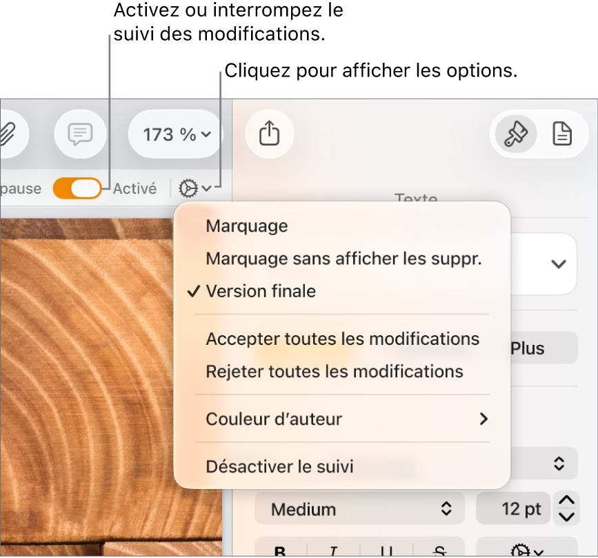 Le menu des options de suivi, avec l’option Désactiver le suivi en bas, ainsi que des légendes traitant des boutons de suivi Activé et En pause.