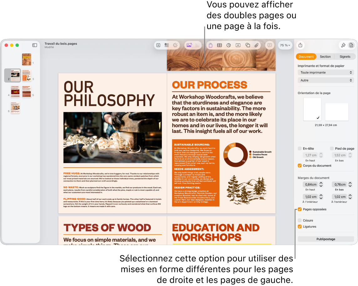 La fenêtre Pages avec les vignettes de page et les pages du document présentées sous forme de doubles pages. Dans la barre latérale Document sur la droite, la case « Pages gauche et droite différentes » est décochée.