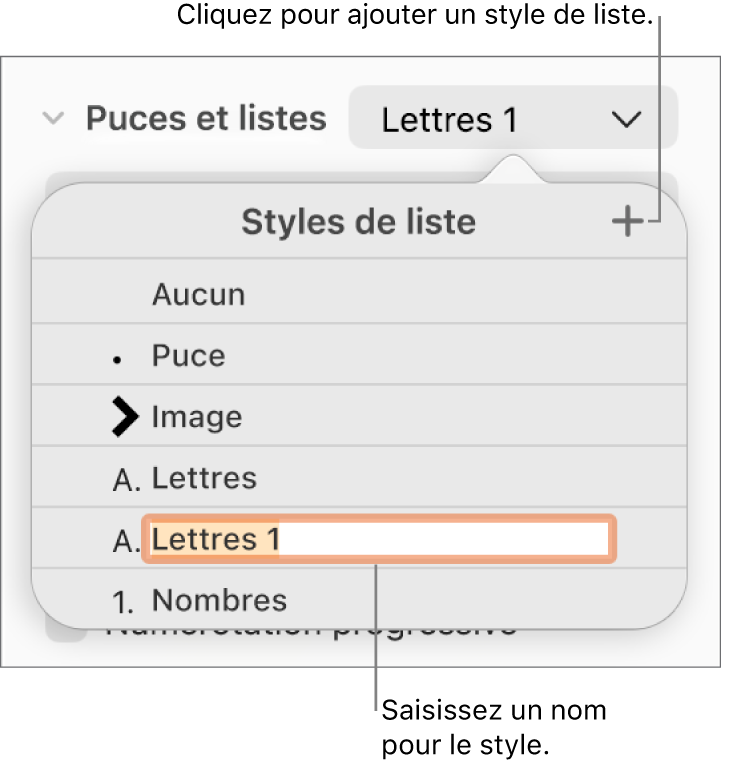 Menu local « Styles de liste » avec un bouton Ajouter dans le coin supérieur droit et un nom de style de paramètre fictif dont le texte est sélectionné.