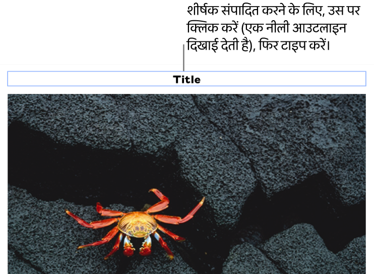 प्लेसहोल्डर शीर्षक, “शीर्षक” तस्वीर के नीचे दिखाई देता है; यह चयनित है दिखाने के लिए शीर्षक फ़ील्ड के चारों तरफ़ एक नीली आउटलाइन दिखाई देती है।