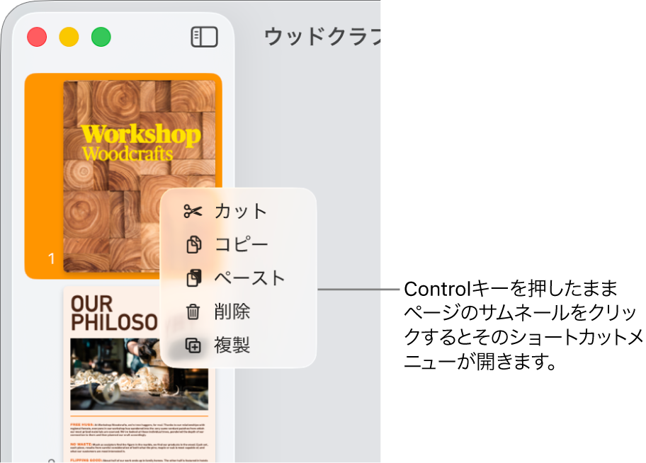 ページのサムネール表示。1つのサムネールが選択されていて、ショートカットメニューが開いている状態。