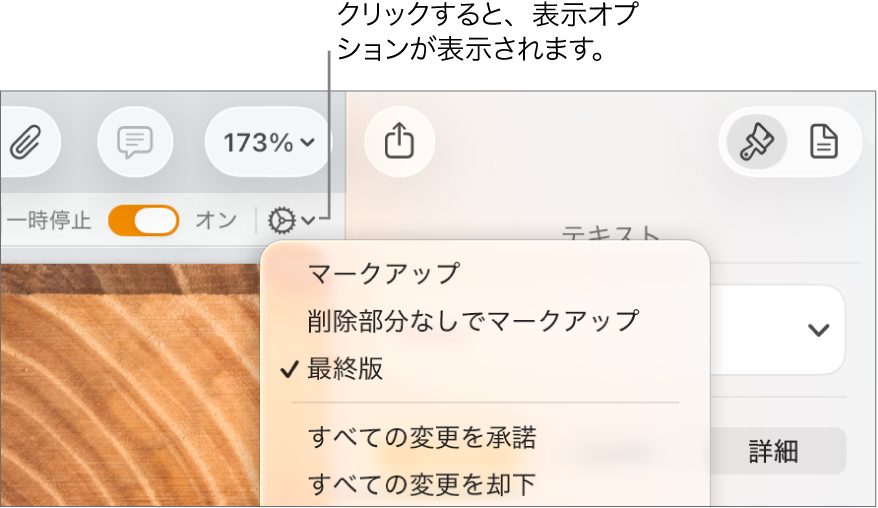 「マークアップ」、「削除部分なしでマークアップ」、「最終版」のレビューオプションが表示されたメニュー。