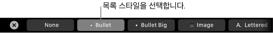 목록 스타일 선택을 위한 제어기가 있는 MacBook Pro의 Touch Bar.