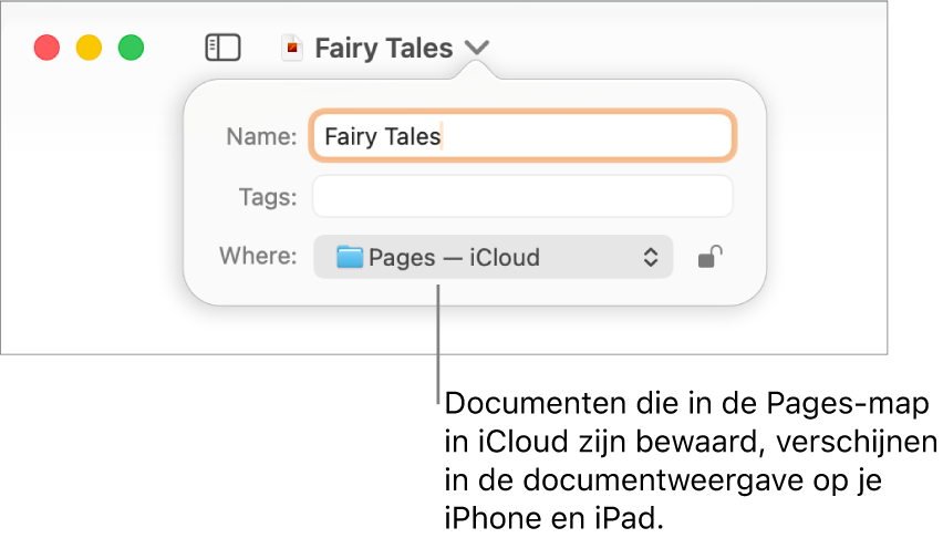 Het dialoogvenster 'Bewaar' voor een document, met de optie 'Pages - iCloud' in het pop‑upmenu 'Locatie'.
